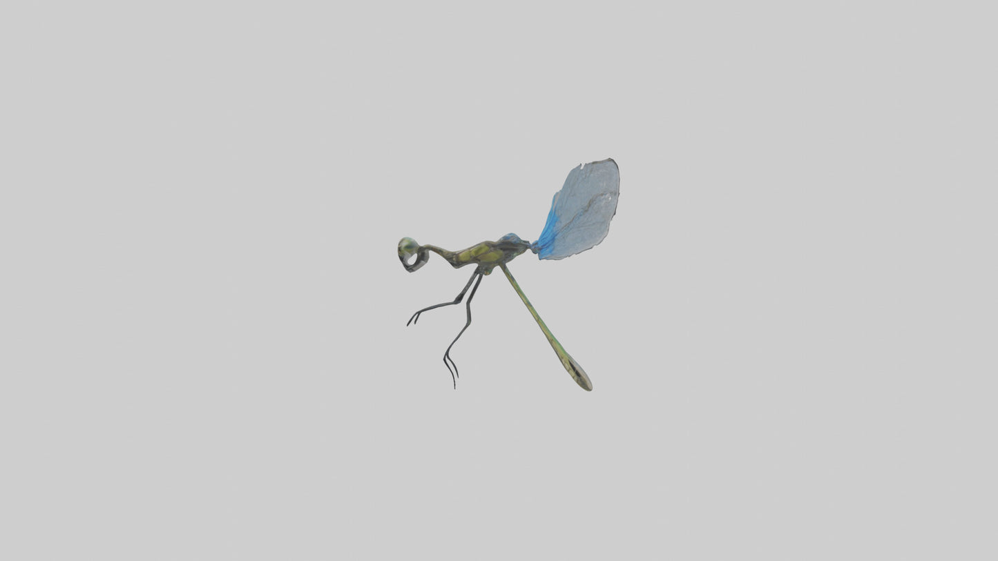 Damselfly landing model VR / AR / low-poly