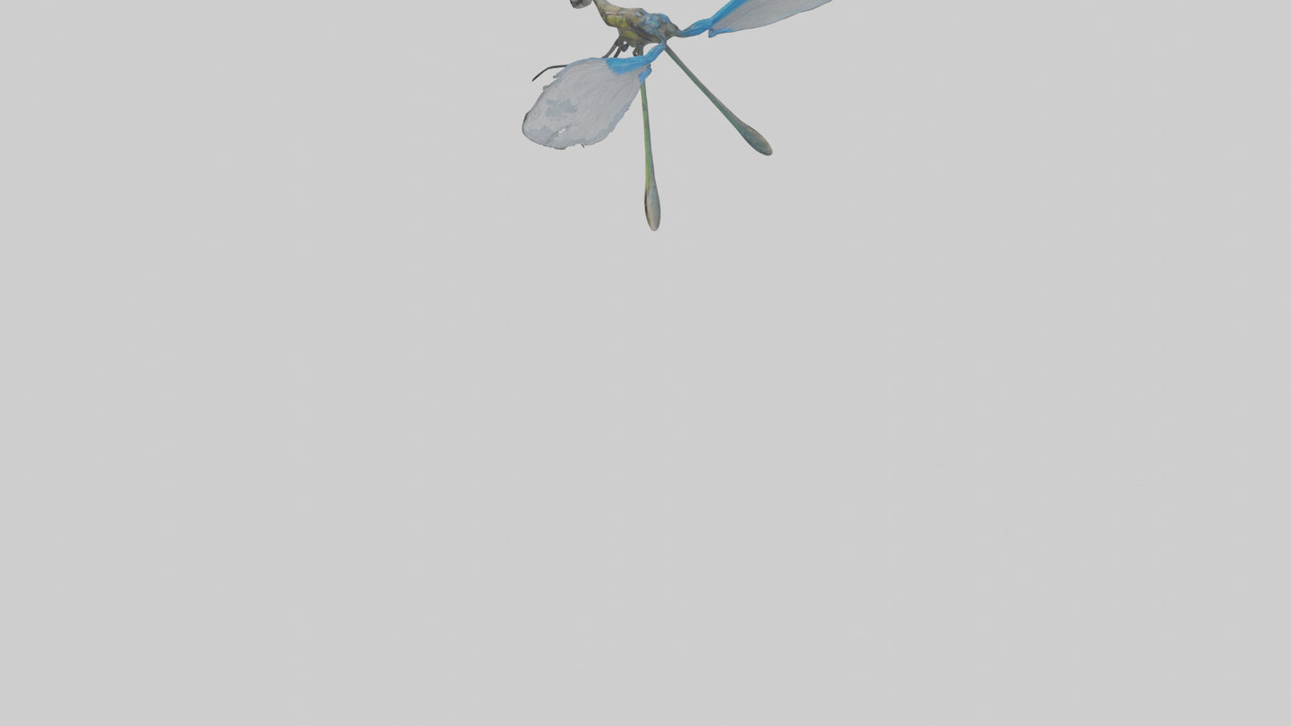 Damselfly landing model VR / AR / low-poly