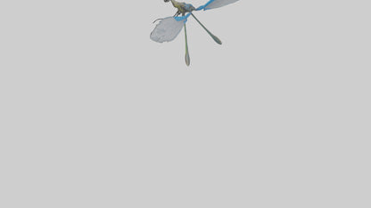 Damselfly landing model VR / AR / low-poly