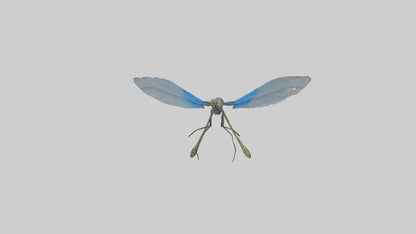 Damselfly landing model VR / AR / low-poly