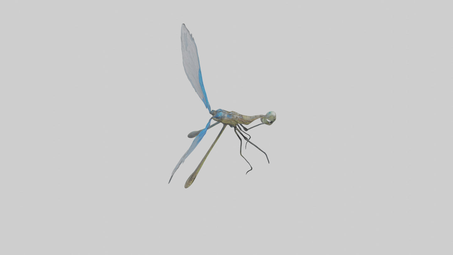 Damselfly landing model VR / AR / low-poly