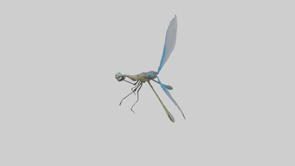 Damselfly landing model VR / AR / low-poly