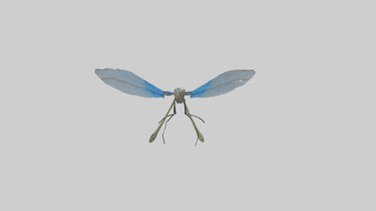 Damselfly landing model VR / AR / low-poly