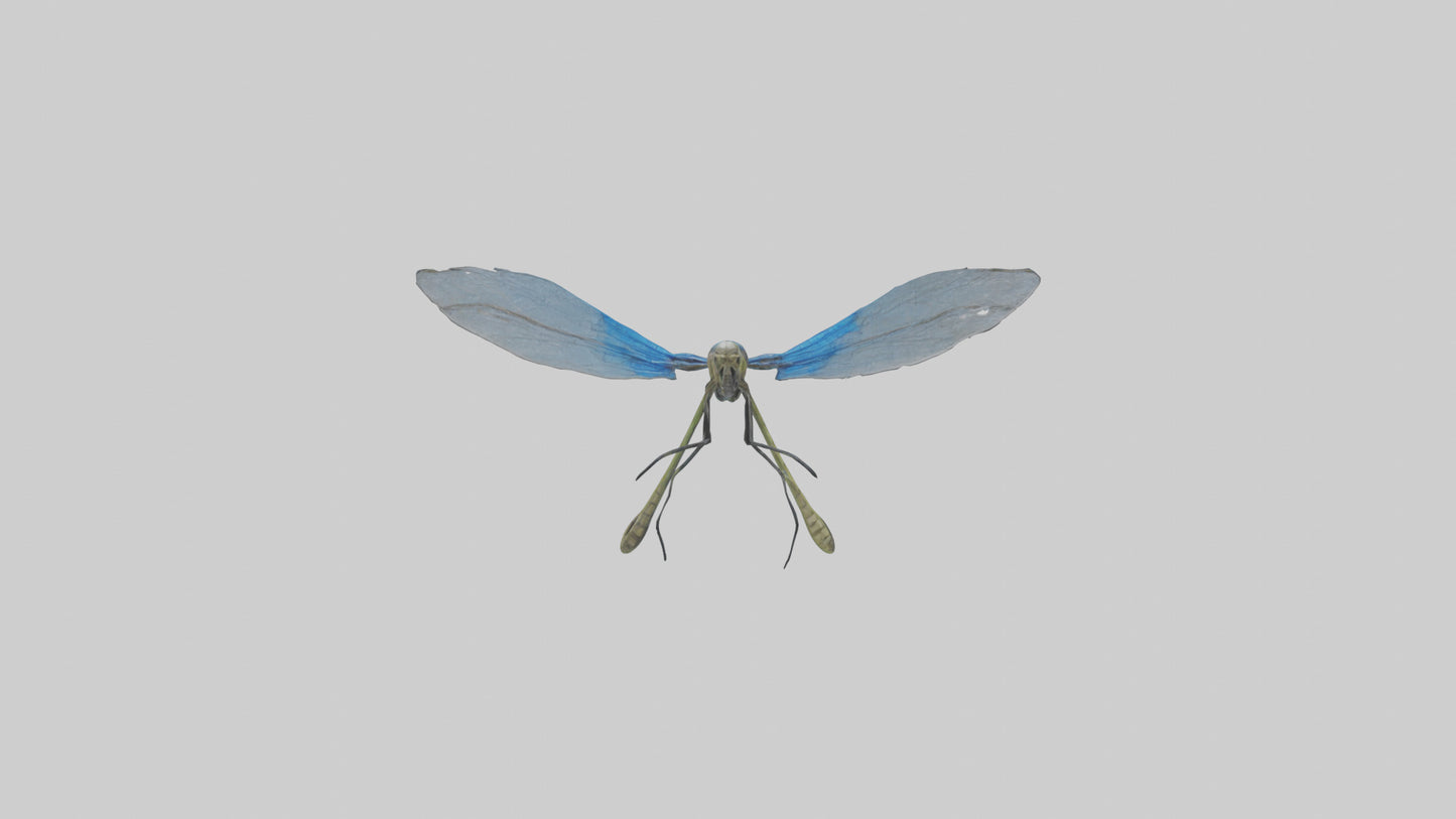 Damselfly landing model VR / AR / low-poly