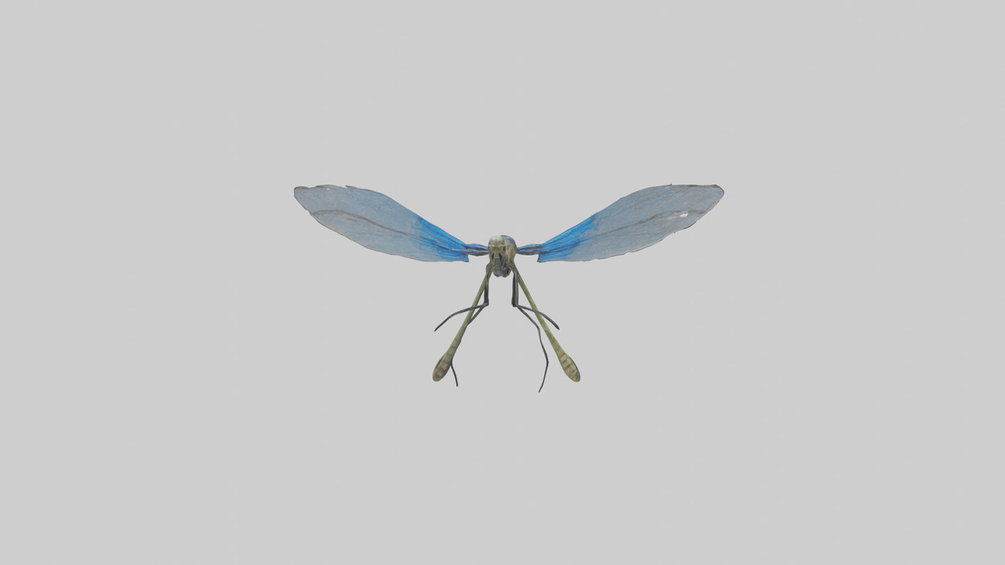 Damselfly landing model VR / AR / low-poly