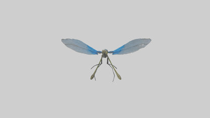 Damselfly landing model VR / AR / low-poly