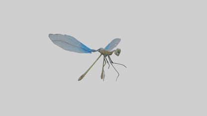Damselfly landing model VR / AR / low-poly
