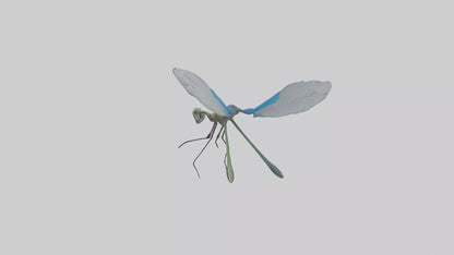 Damselfly landing model VR / AR / low-poly