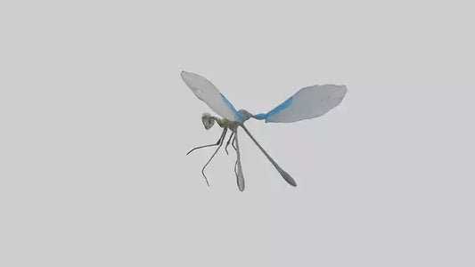 Damselfly landing model VR / AR / low-poly