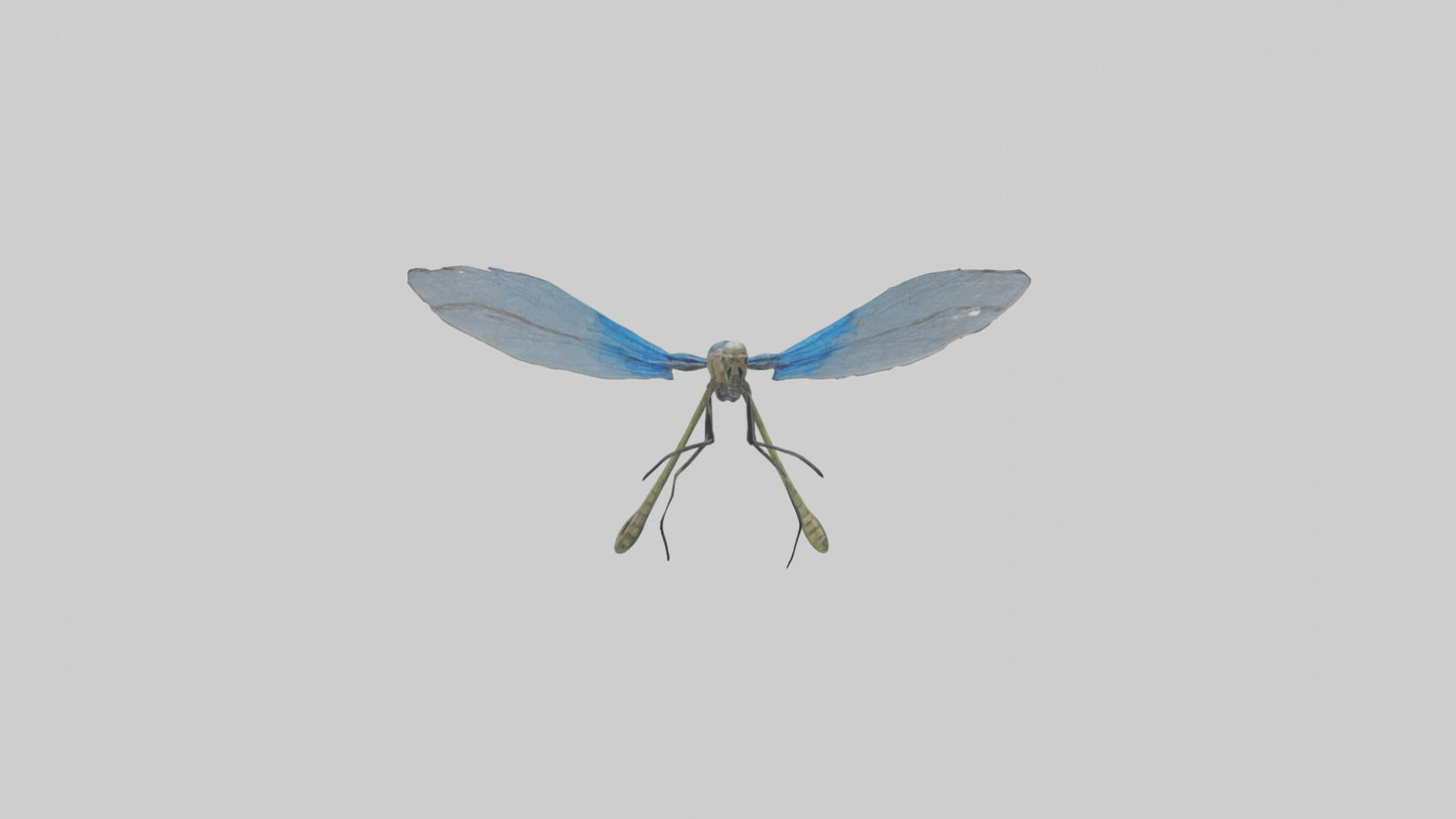 Damselfly landing model VR / AR / low-poly