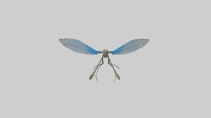 Damselfly landing model VR / AR / low-poly