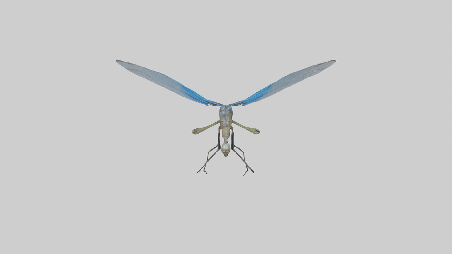 Damselfly landing model VR / AR / low-poly