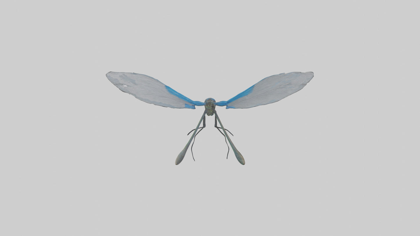 Damselfly landing model VR / AR / low-poly