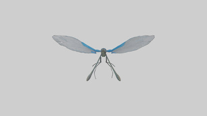 Damselfly landing model VR / AR / low-poly
