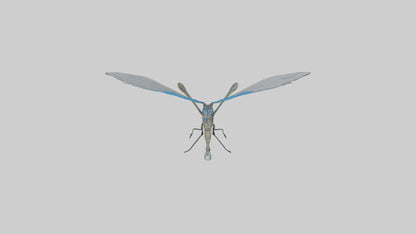 Damselfly landing model VR / AR / low-poly