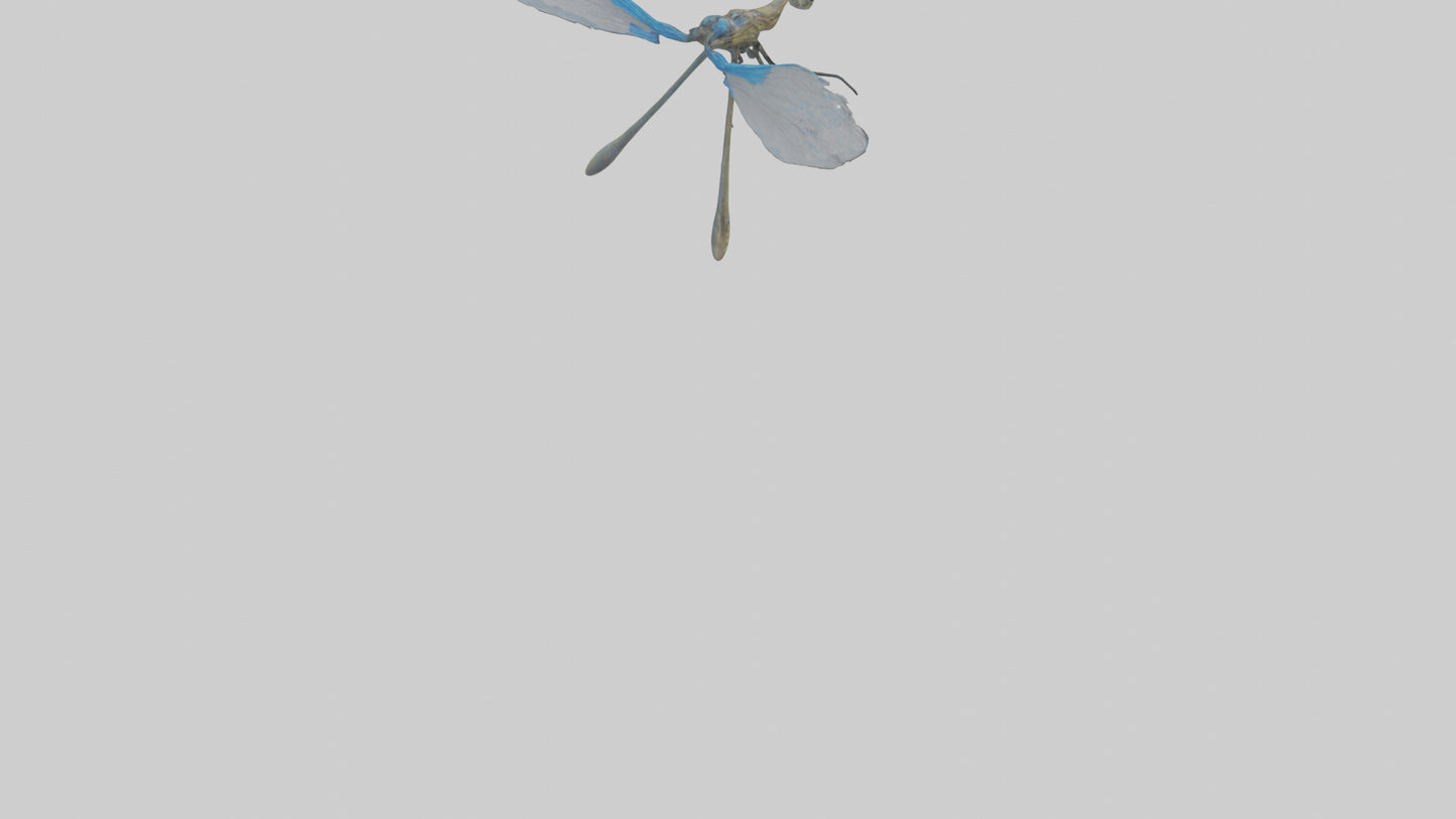 Damselfly landing model VR / AR / low-poly