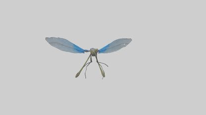 Damselfly landing model VR / AR / low-poly