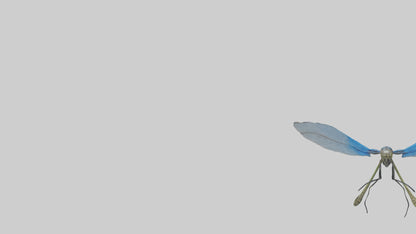 Damselfly landing model VR / AR / low-poly