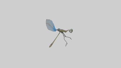 Damselfly landing model VR / AR / low-poly