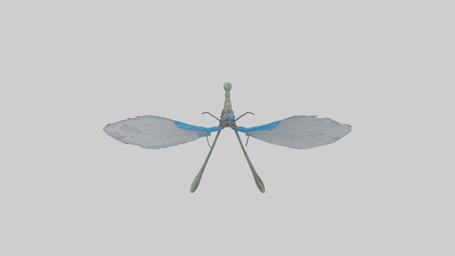 Damselfly landing model VR / AR / low-poly