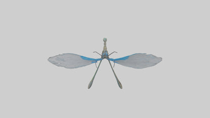 Damselfly landing model VR / AR / low-poly