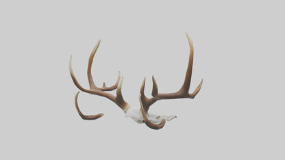 Deer Antlers Model VR / AR / low-poly