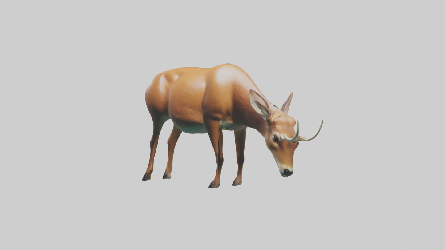 3D model Deer grazing in forest model VR / AR / low-poly