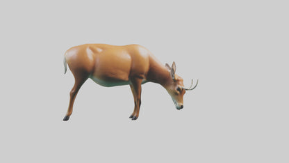 3D model Deer grazing in forest model VR / AR / low-poly