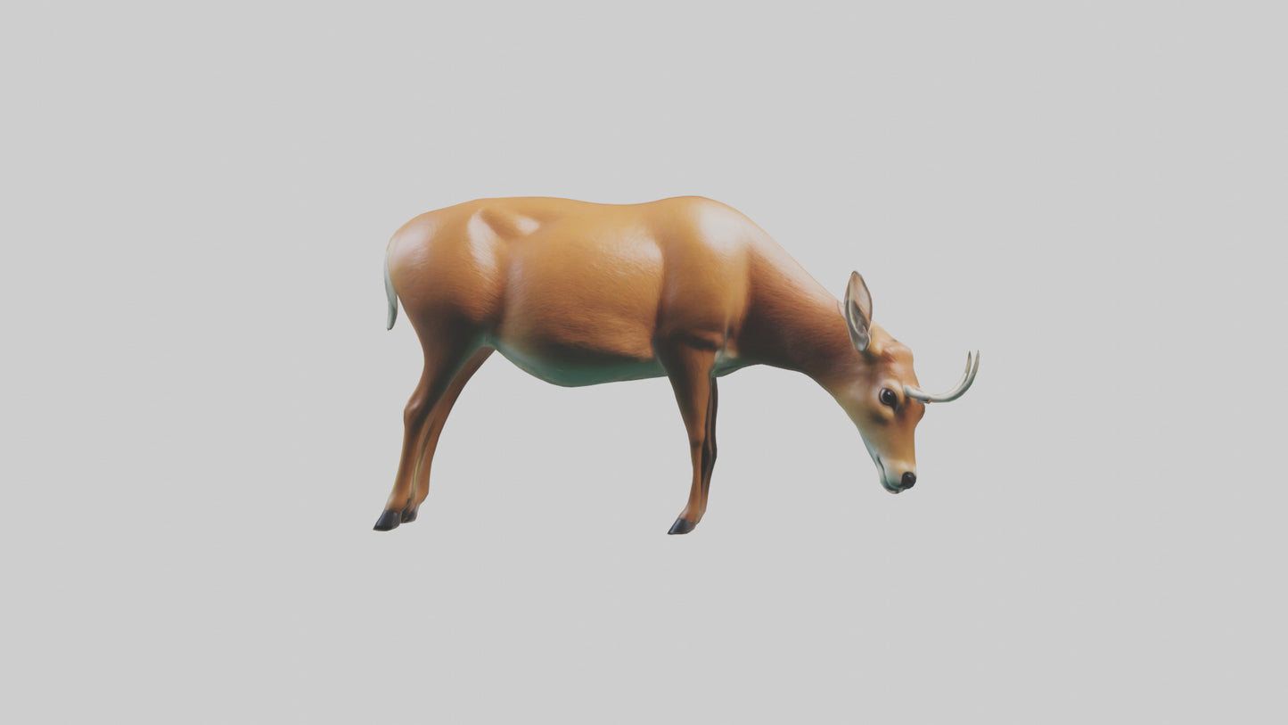 3D model Deer grazing in forest model VR / AR / low-poly