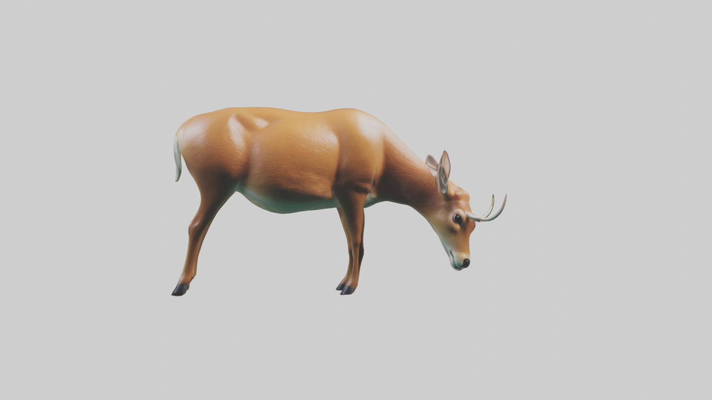 3D model Deer grazing in forest model VR / AR / low-poly