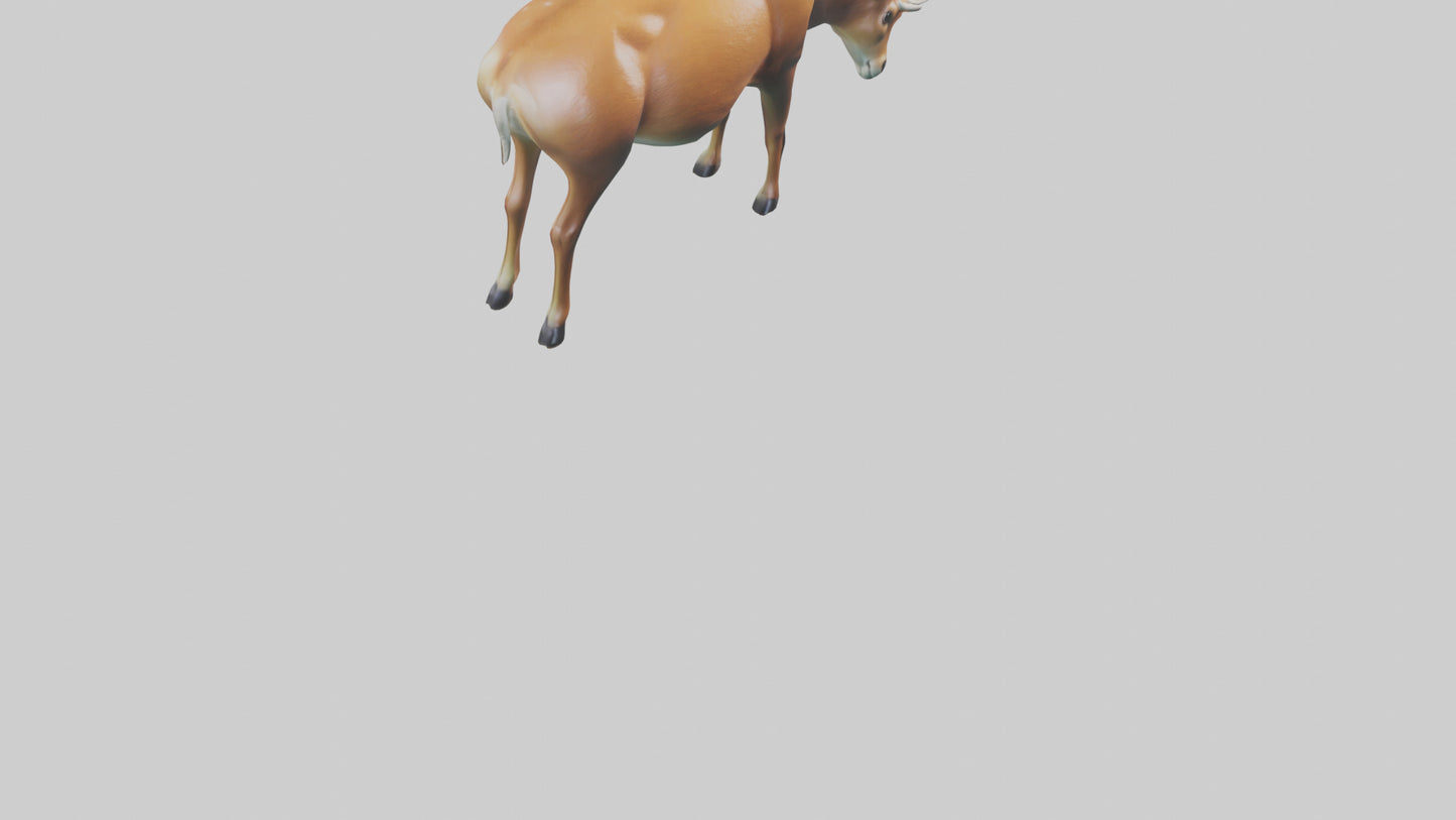 3D model Deer grazing in forest model VR / AR / low-poly