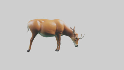 3D model Deer grazing in forest model VR / AR / low-poly
