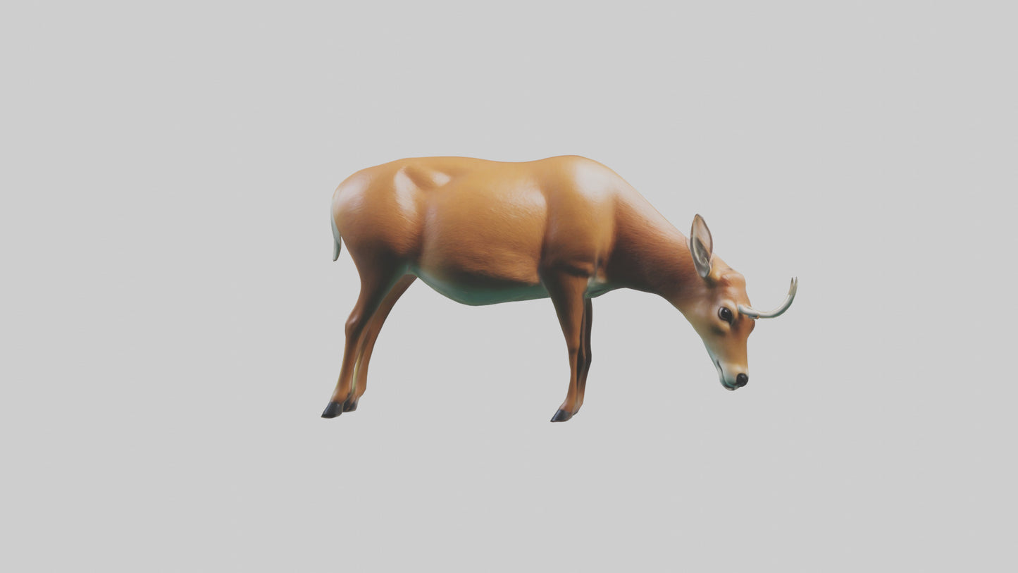 3D model Deer grazing in forest model VR / AR / low-poly