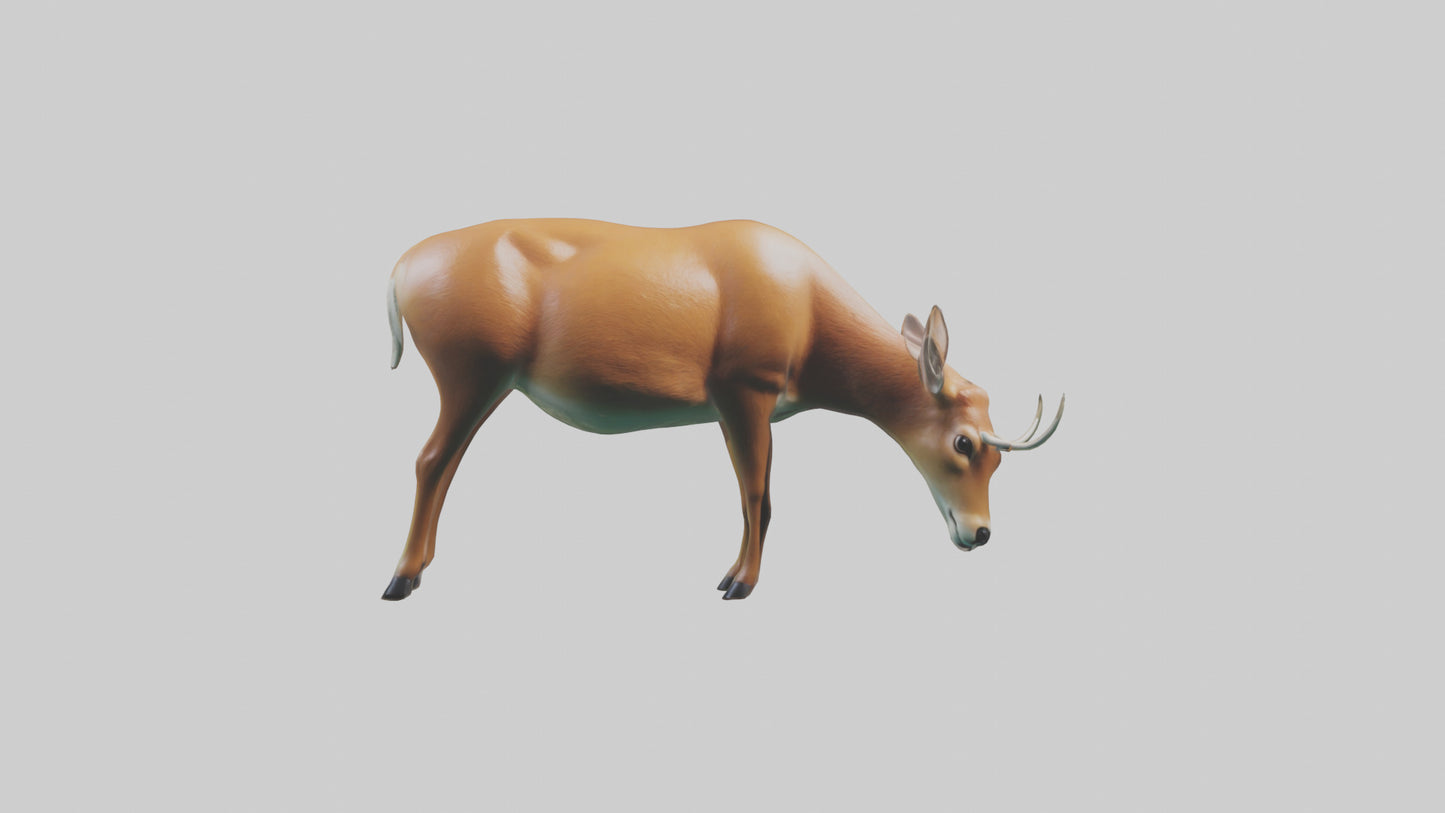 3D model Deer grazing in forest model VR / AR / low-poly