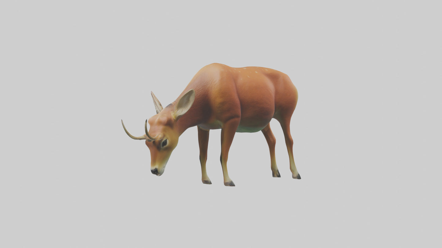3D model Deer grazing in forest model VR / AR / low-poly