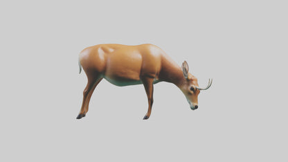3D model Deer grazing in forest model VR / AR / low-poly