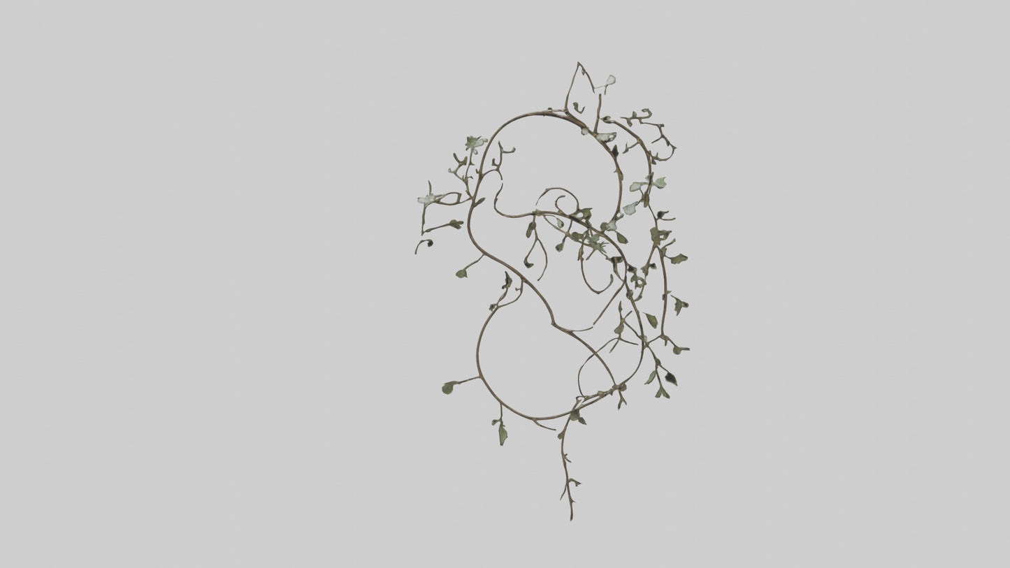 Delicate Vine Sculpture model VR / AR / low-poly