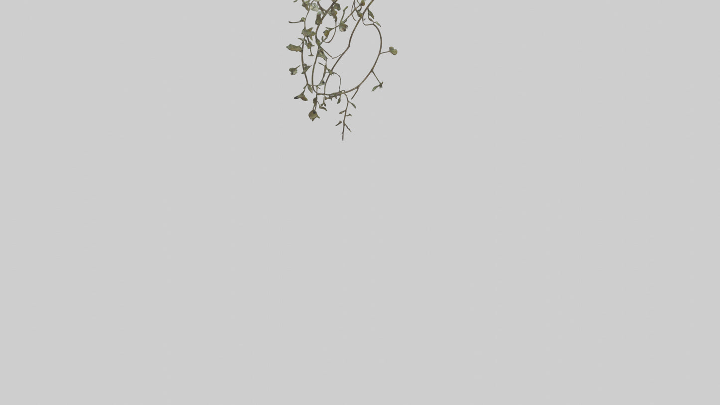 Delicate Vine Sculpture model VR / AR / low-poly