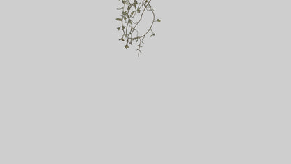 Delicate Vine Sculpture model VR / AR / low-poly