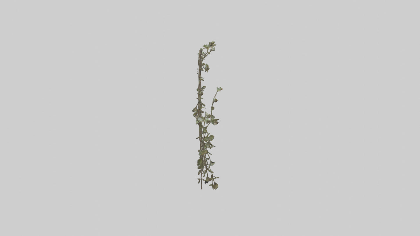 Delicate Vine Sculpture model VR / AR / low-poly