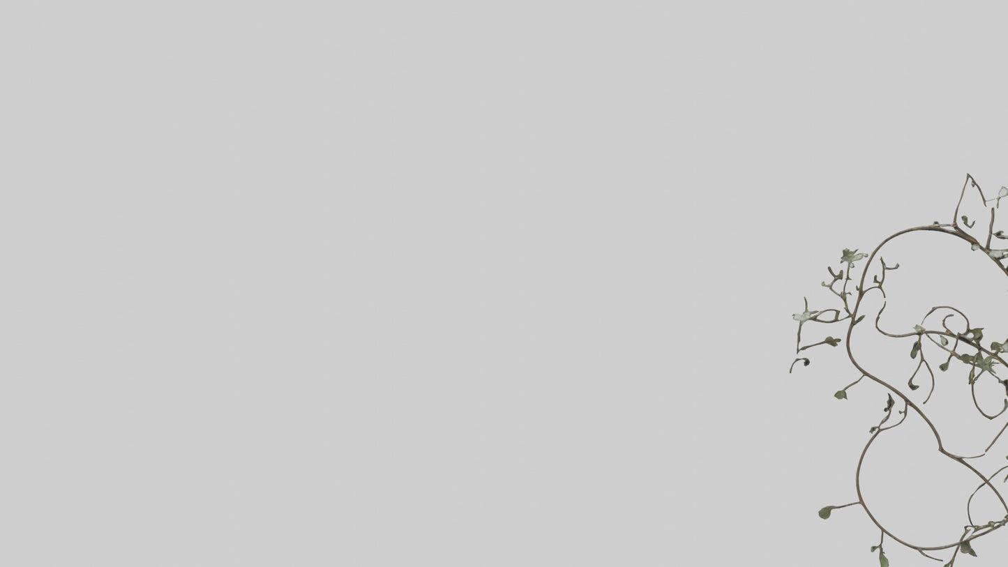 Delicate Vine Sculpture model VR / AR / low-poly