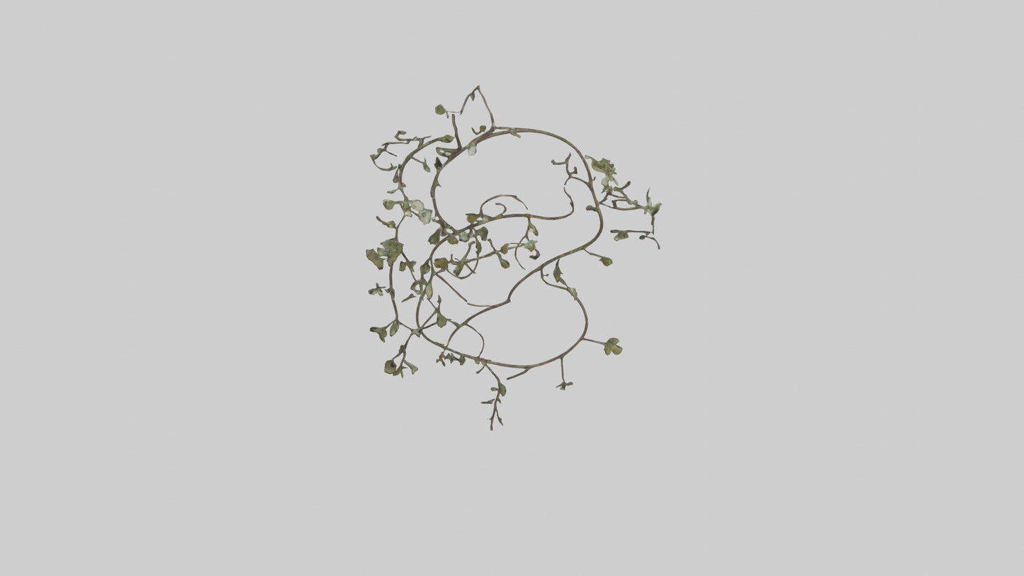 Delicate Vine Sculpture model VR / AR / low-poly