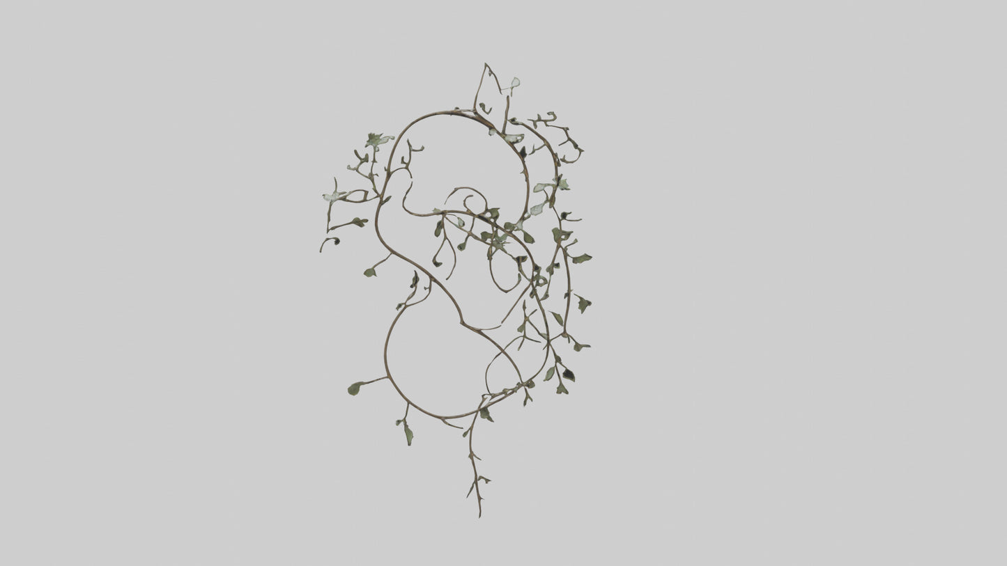 Delicate Vine Sculpture model VR / AR / low-poly