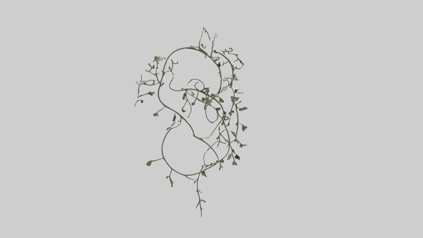 Delicate Vine Sculpture model VR / AR / low-poly