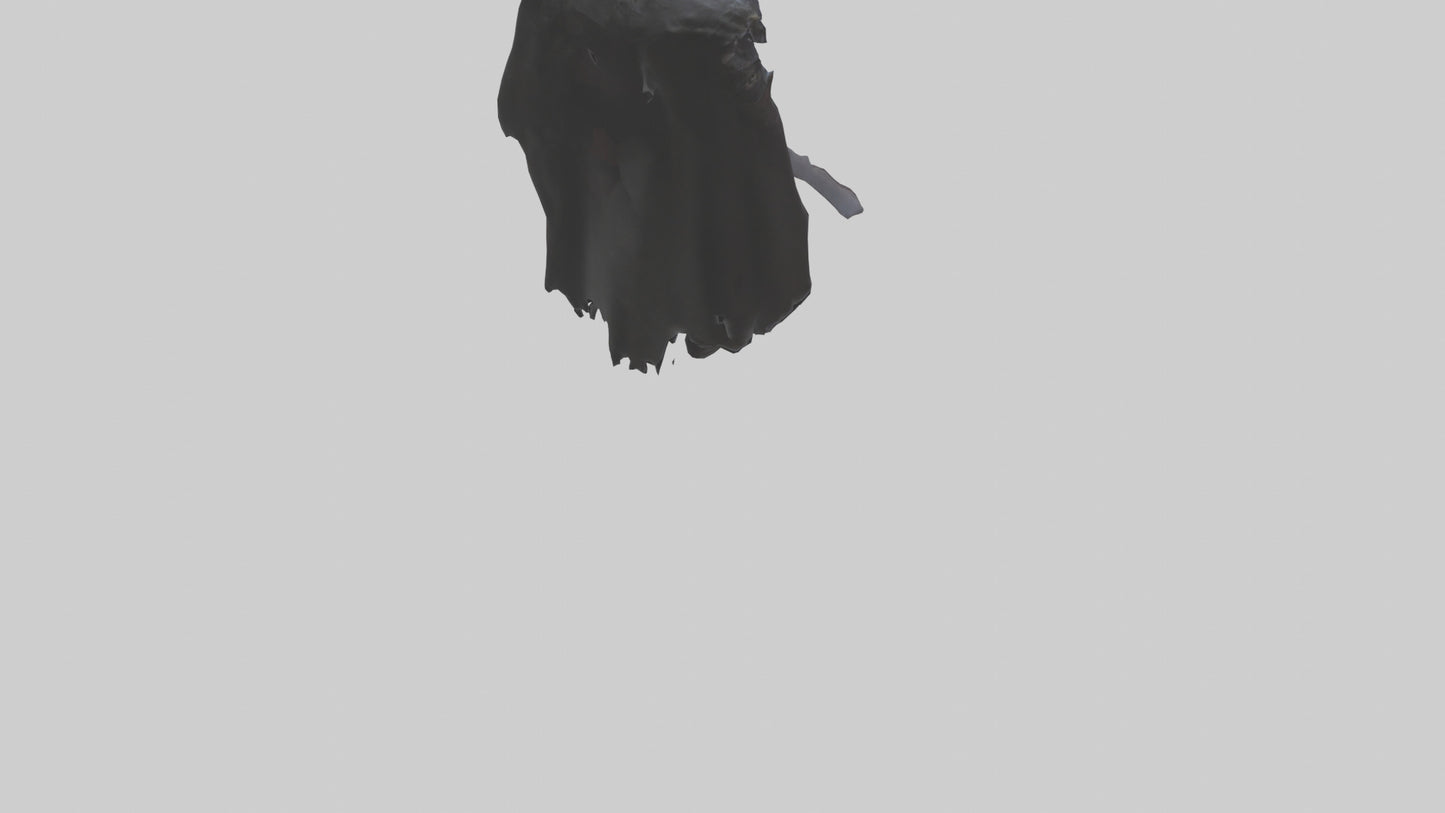 3D model Demon Knight model VR / AR / low-poly