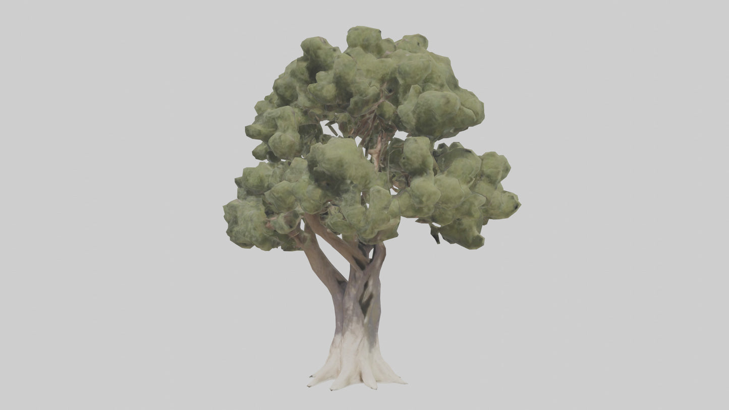 3D model Desert Willow tree model VR / AR / low-poly