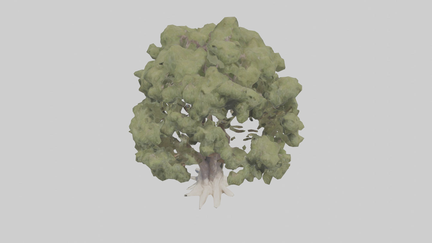3D model Desert Willow tree model VR / AR / low-poly