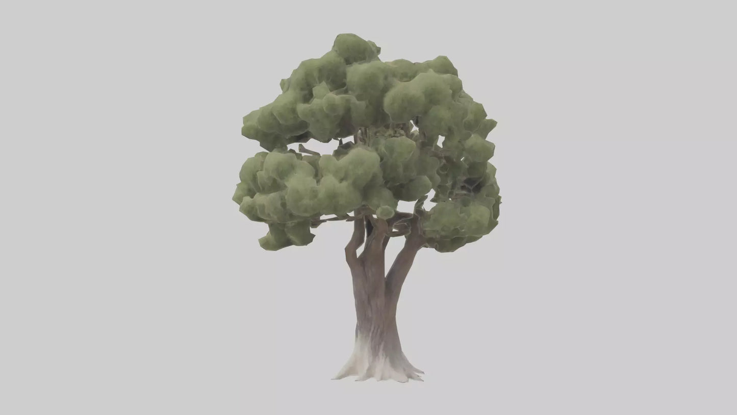 3D model Desert Willow tree model VR / AR / low-poly