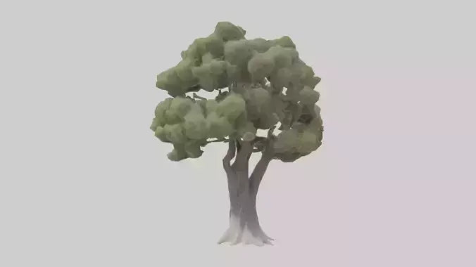 3D model Desert Willow tree model VR / AR / low-poly
