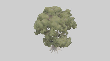 3D model Desert Willow tree model VR / AR / low-poly